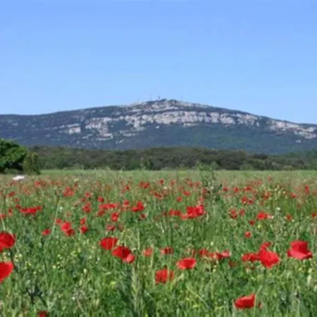 Maison De Charme Pres De Lussan & Uzes Calme Et Authentique Hébergement de vacances